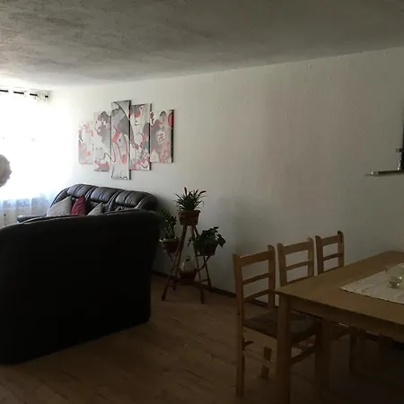 Fruehsonnige Innenstadt-vollkomfort-wohnung Zittau